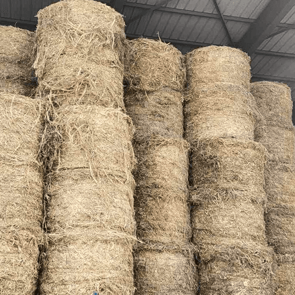 Hemp fibre